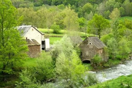 Moulin de Chipole (groupes)