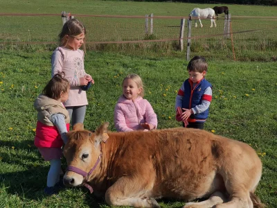 La petite ferme naturailes (groupes)