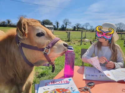 La petite ferme naturailes (groupes)