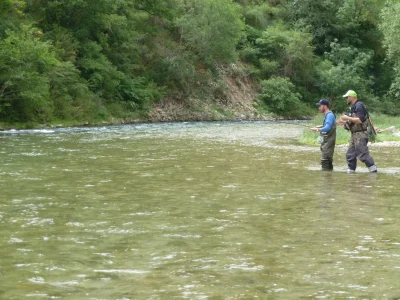 Pêche aux appâts naturels