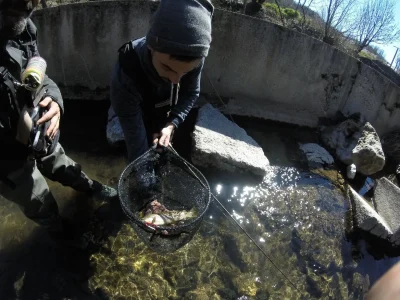 Pêche aux leurres