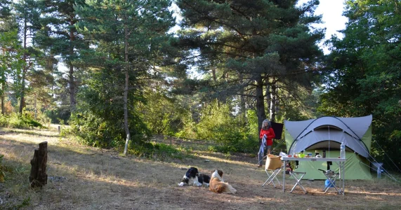 ECO-CAMPING DU LARZAC, emplacement nu.