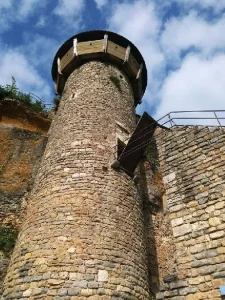 Château de Peyrelade (groupes)