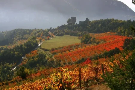 Château de Peyrelade (groupes)