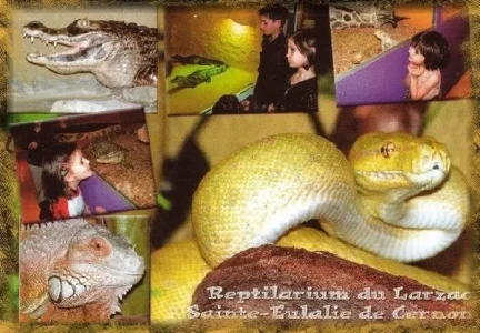 Le reptilarium du Larzac (Sainte Eulalie de Cernon)