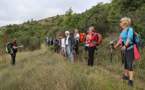 Via Les Causses (groupes)