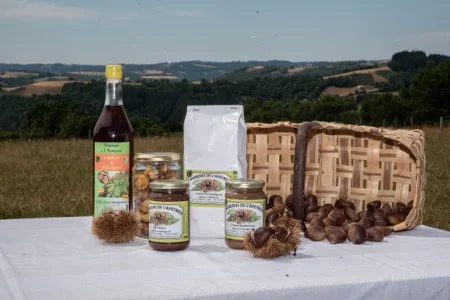 Marrons de l'Aveyron - Goûtez La Châtaigne