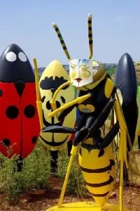 MICROPOLIS LA CITÉ DES INSECTES