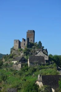 Château de Valon