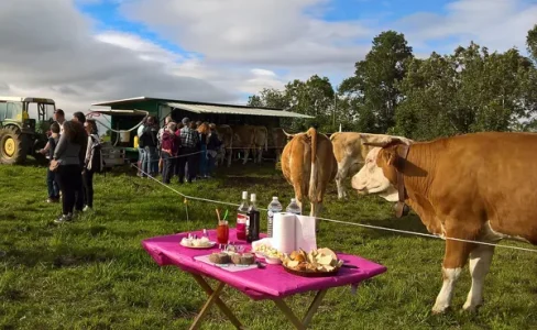 Coopérative Fromagère Jeune Montagne (groupes)