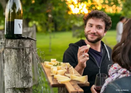 Coopérative Fromagère Jeune Montagne (groupes)