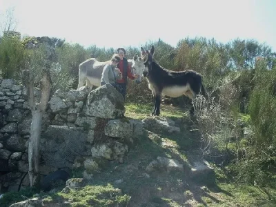 La ferme du Verdier