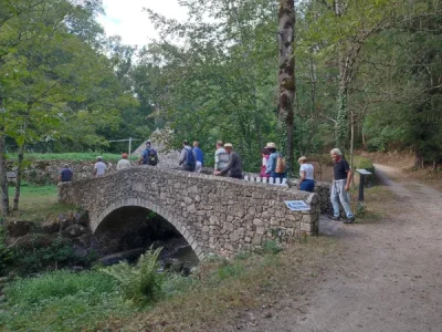 Les Martinets du Lézert (Groupe)