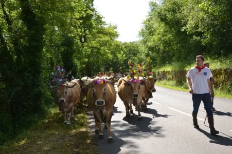 Fête et Marches de l'Estive