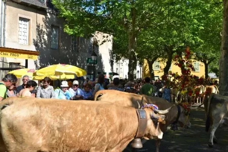 Fête de l'Estive