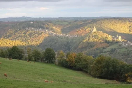 Vue sur la village de Najac