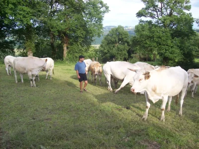 La ferme de Tessi