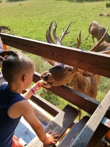 Parc animalier Saint Hubert