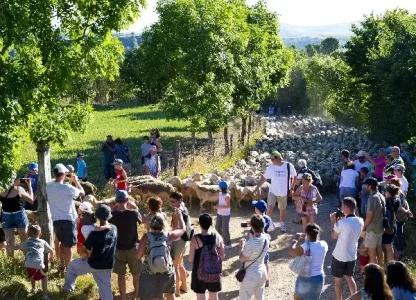 FERME SEGUIN / GAEC DES GRANDS CAUSSES (groupes)