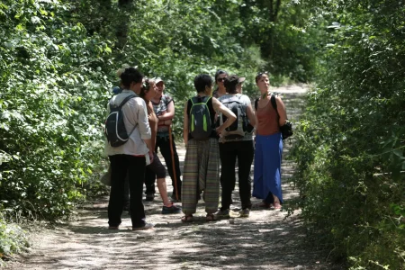 Besoin de Nature  (Groupes)