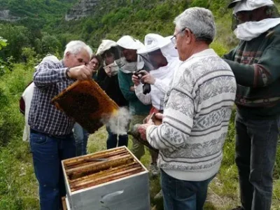 Centre Permanent d'Initiatives Pour l'Environnement du Rouergue (CPIE) (groupes)