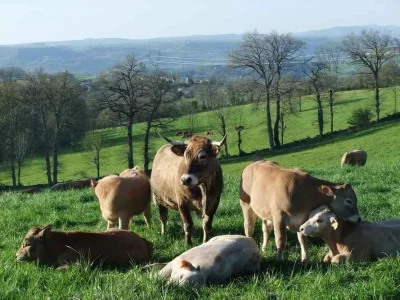 La ferme de Mathilde (groupes)