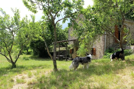 La Maison de Vignes