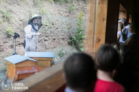 L'Arc en Miel : visite-immersion au coeur du monde des abeilles