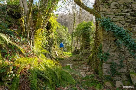 Ancien village de Jalenques