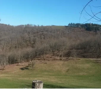 les travaux dans les forêts à la ferme de daoudou