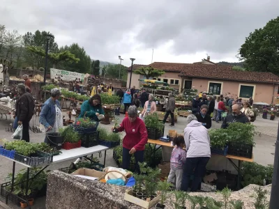 27 ème Rendez-vous Jardinier