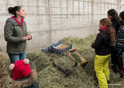 Visite de ferme Jeune Montagne