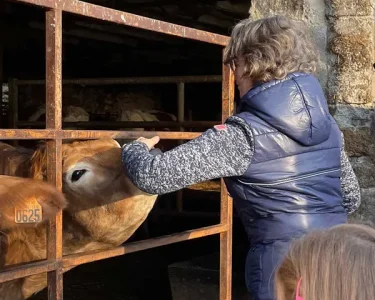 Visite de ferme Jeune Montagne