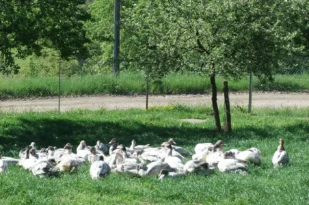 La ferme de Mathilde